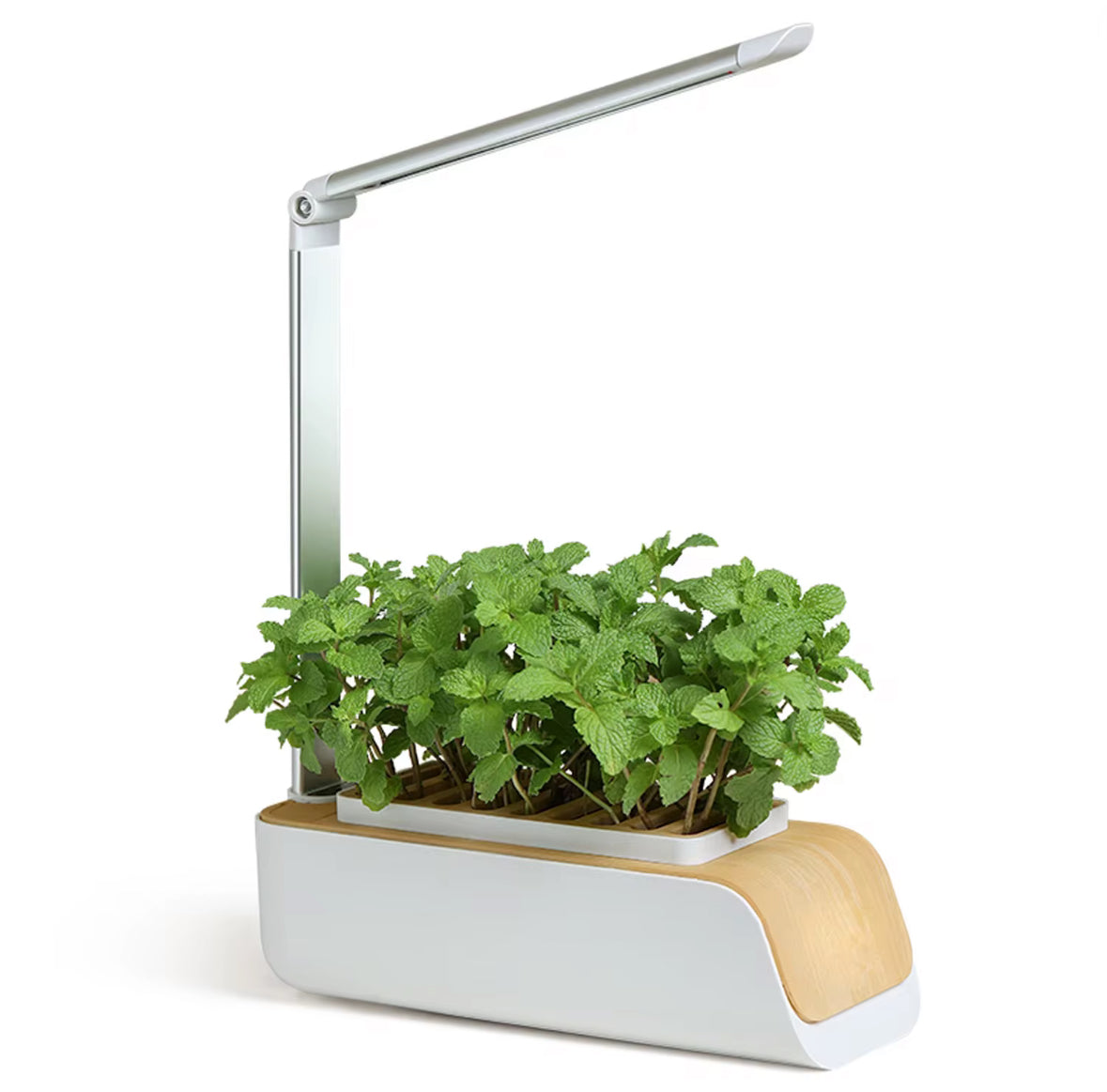 Nordic Grow - Skandinavisk design för gröna hem