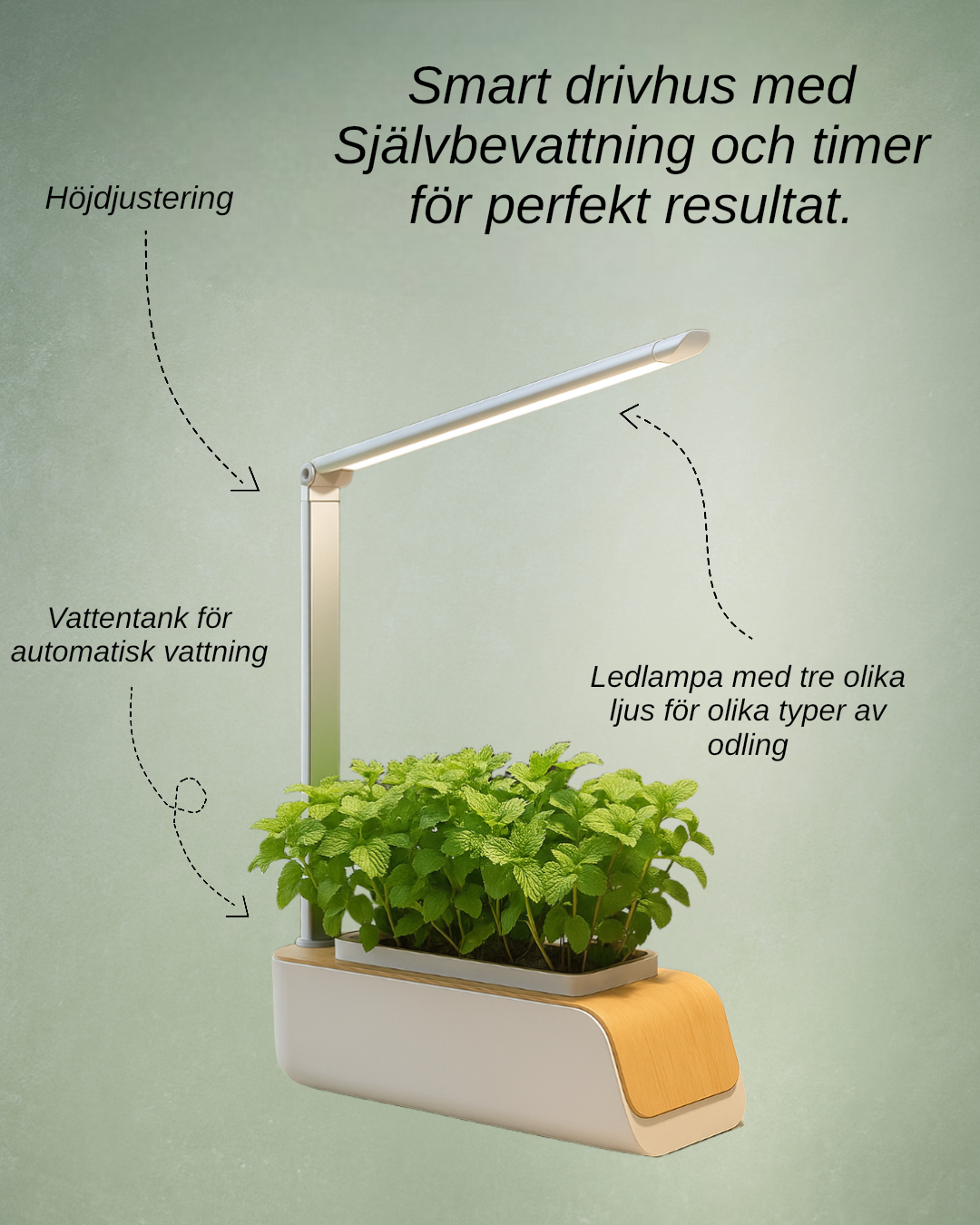 Nordic Grow - Skandinavisk design för gröna hem