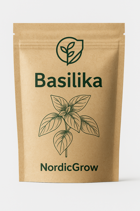 Basilika